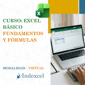 Excel Básico - Indexcel Colombia